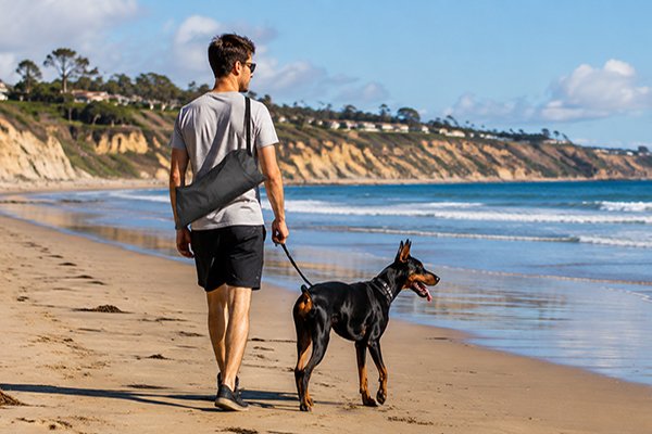 Beach Trips With Dogs: Outdoor Gear And Preparation Guide